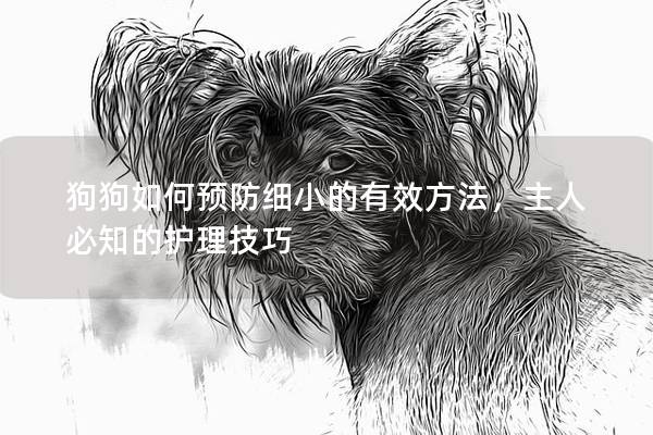 狗狗如何预防细小的有效方法，主人必知的护理技巧