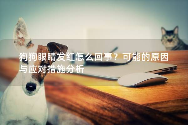 狗狗眼睛发红怎么回事？可能的原因与应对措施分析