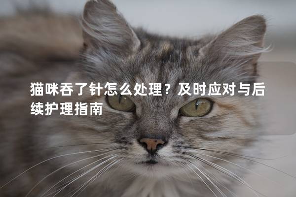 猫咪吞了针怎么处理？及时应对与后续护理指南