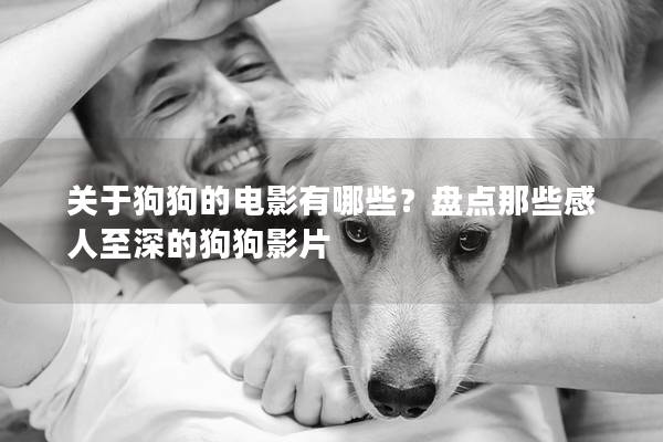 关于狗狗的电影有哪些？盘点那些感人至深的狗狗影片