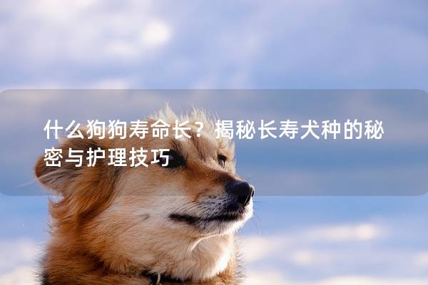 什么狗狗寿命长？揭秘长寿犬种的秘密与护理技巧