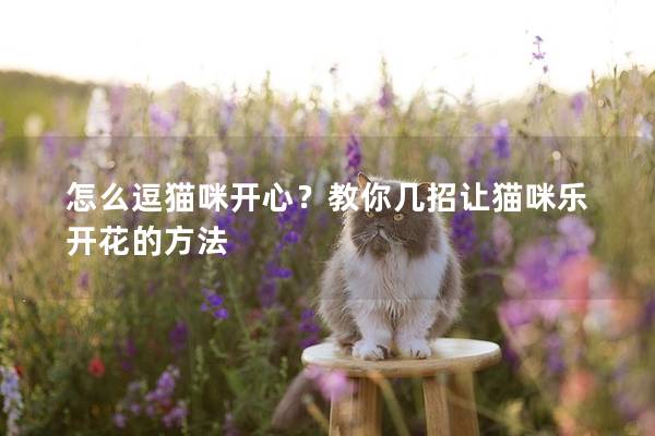 怎么逗猫咪开心？教你几招让猫咪乐开花的方法