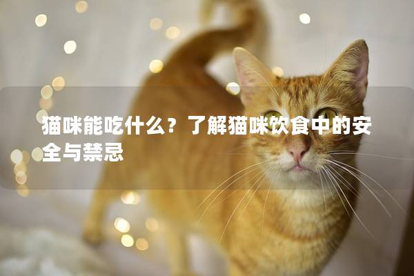 猫咪能吃什么？了解猫咪饮食中的安全与禁忌