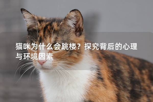 猫咪为什么会跳楼？探究背后的心理与环境因素