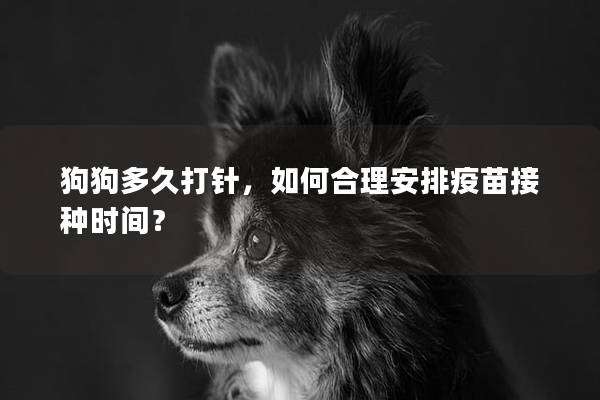 狗狗多久打针，如何合理安排疫苗接种时间？