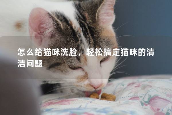 怎么给猫咪洗脸，轻松搞定猫咪的清洁问题