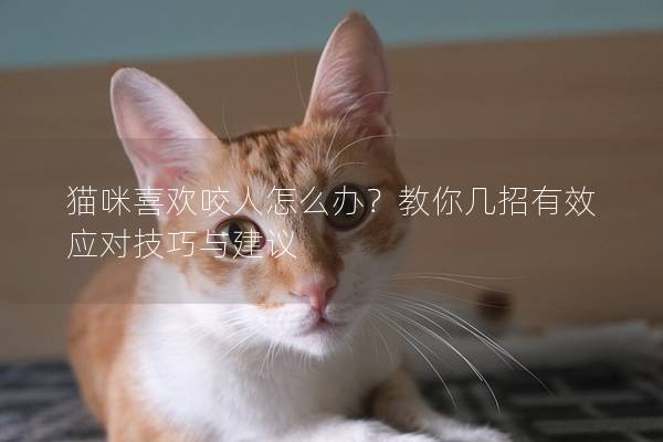 猫咪喜欢咬人怎么办？教你几招有效应对技巧与建议