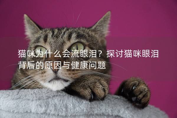 猫咪为什么会流眼泪？探讨猫咪眼泪背后的原因与健康问题