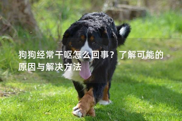 狗狗经常干呕怎么回事？了解可能的原因与解决方法