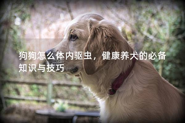 狗狗怎么体内驱虫，健康养犬的必备知识与技巧