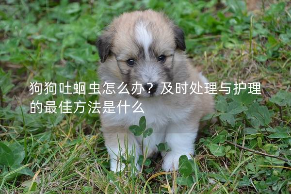 狗狗吐蛔虫怎么办？及时处理与护理的最佳方法是什么