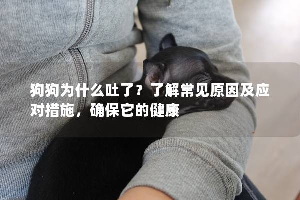 狗狗为什么吐了？了解常见原因及应对措施，确保它的健康