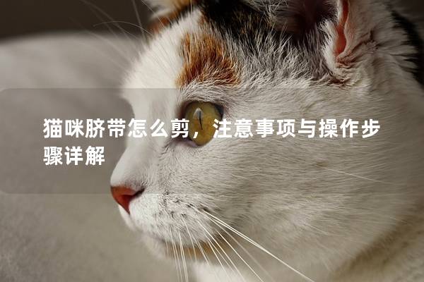 猫咪脐带怎么剪，注意事项与操作步骤详解