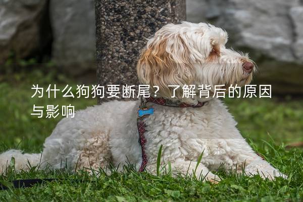 为什么狗狗要断尾？了解背后的原因与影响