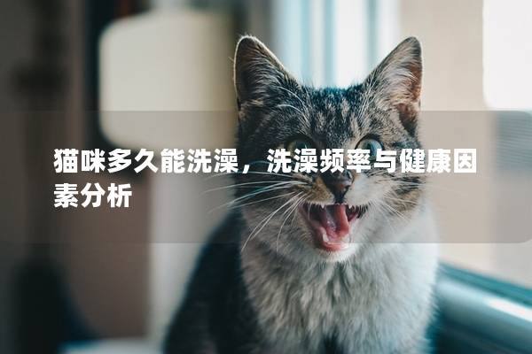 猫咪多久能洗澡，洗澡频率与健康因素分析