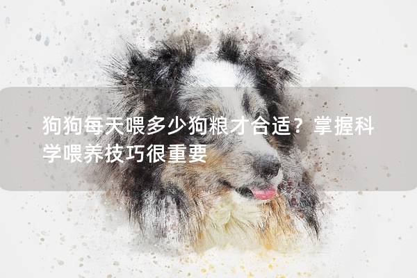 狗狗每天喂多少狗粮才合适？掌握科学喂养技巧很重要