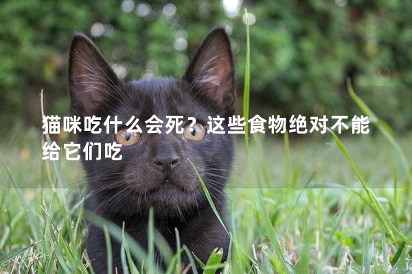 猫咪吃什么会死？这些食物绝对不能给它们吃