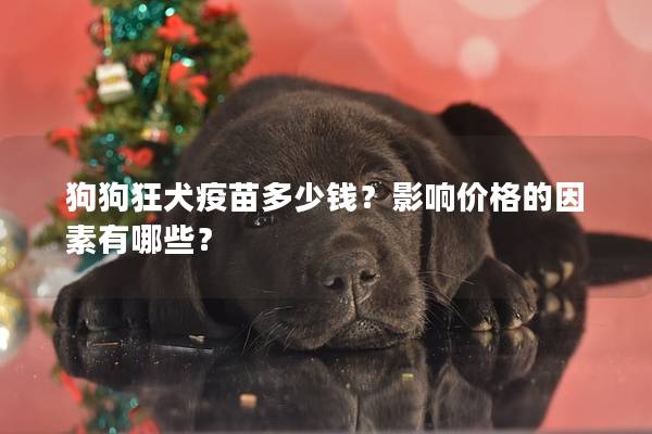 狗狗狂犬疫苗多少钱？影响价格的因素有哪些？