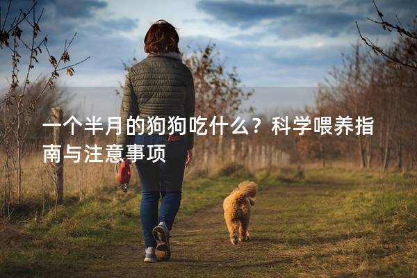 一个半月的狗狗吃什么？科学喂养指南与注意事项