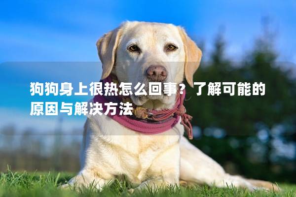 狗狗身上很热怎么回事？了解可能的原因与解决方法