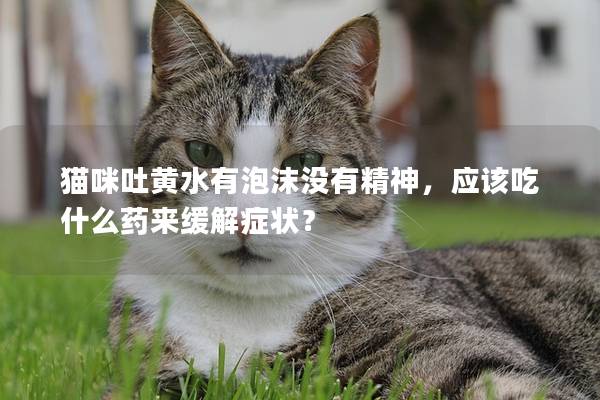 猫咪吐黄水有泡沫没有精神，应该吃什么药来缓解症状？