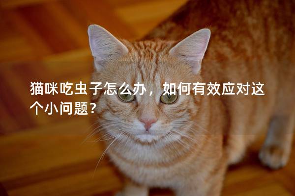 猫咪吃虫子怎么办，如何有效应对这个小问题？