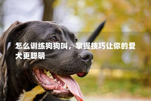 怎么训练狗狗叫，掌握技巧让你的爱犬更聪明