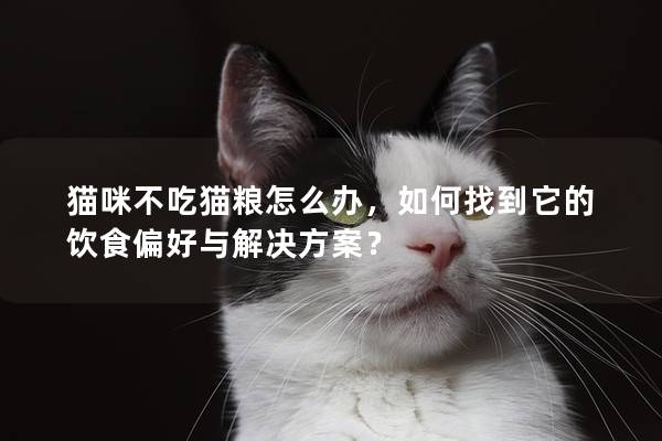 猫咪不吃猫粮怎么办，如何找到它的饮食偏好与解决方案？