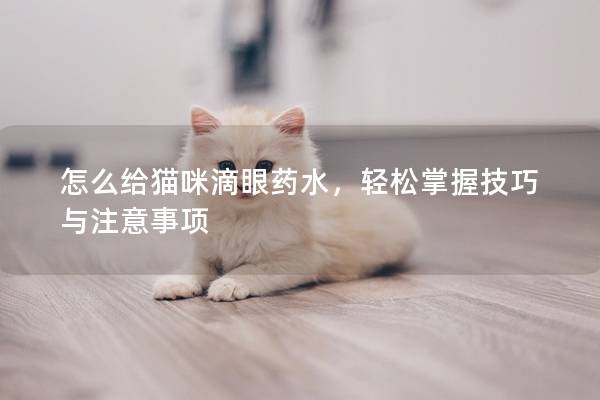 怎么给猫咪滴眼药水，轻松掌握技巧与注意事项