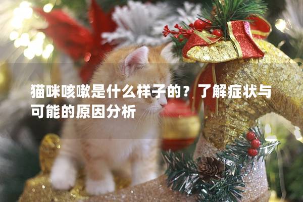 猫咪咳嗽是什么样子的？了解症状与可能的原因分析