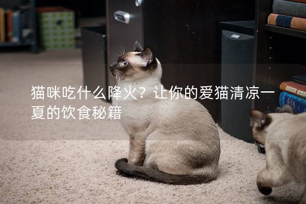 猫咪吃什么降火？让你的爱猫清凉一夏的饮食秘籍