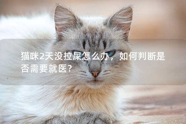 猫咪2天没拉屎怎么办，如何判断是否需要就医？