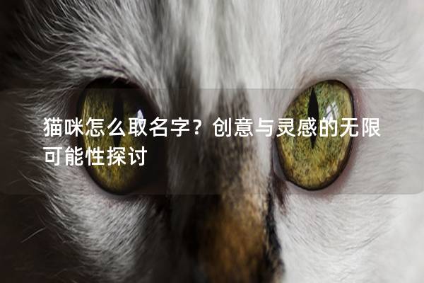 猫咪怎么取名字？创意与灵感的无限可能性探讨