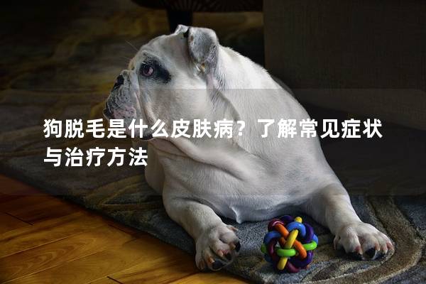 狗脱毛是什么皮肤病？了解常见症状与治疗方法