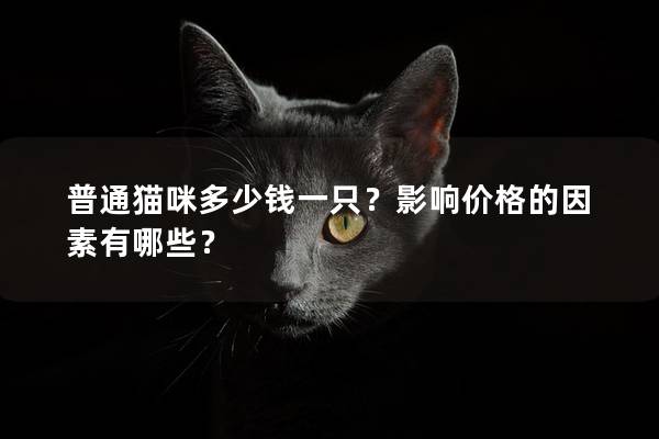 普通猫咪多少钱一只？影响价格的因素有哪些？