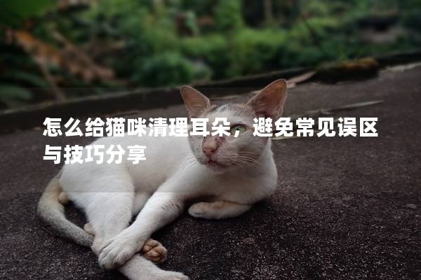 怎么给猫咪清理耳朵，避免常见误区与技巧分享