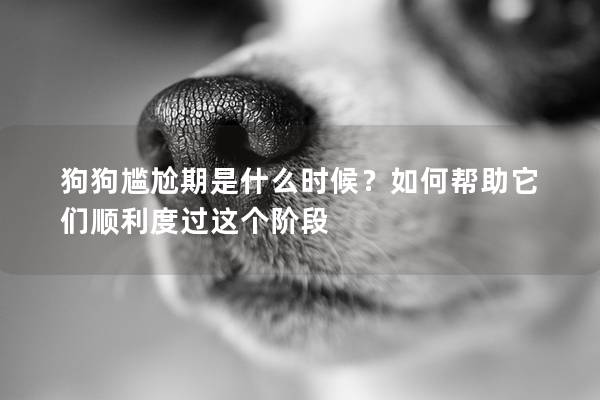 狗狗尴尬期是什么时候？如何帮助它们顺利度过这个阶段