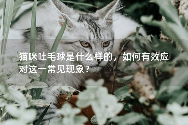 猫咪吐毛球是什么样的，如何有效应对这一常见现象？