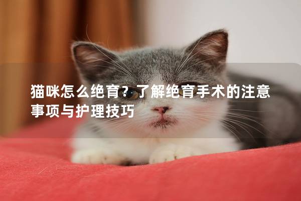 猫咪怎么绝育？了解绝育手术的注意事项与护理技巧