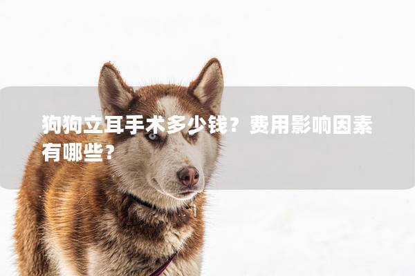 狗狗立耳手术多少钱？费用影响因素有哪些？