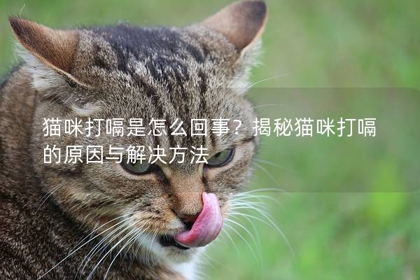 猫咪打嗝是怎么回事？揭秘猫咪打嗝的原因与解决方法