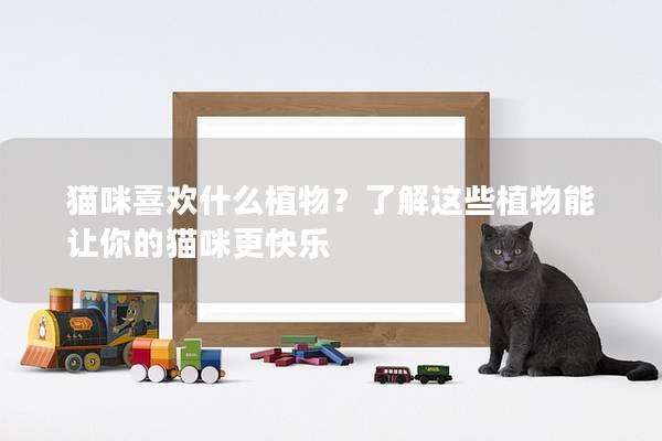 猫咪喜欢什么植物？了解这些植物能让你的猫咪更快乐