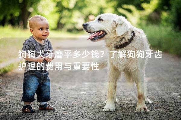 狗狗犬牙磨平多少钱？了解狗狗牙齿护理的费用与重要性