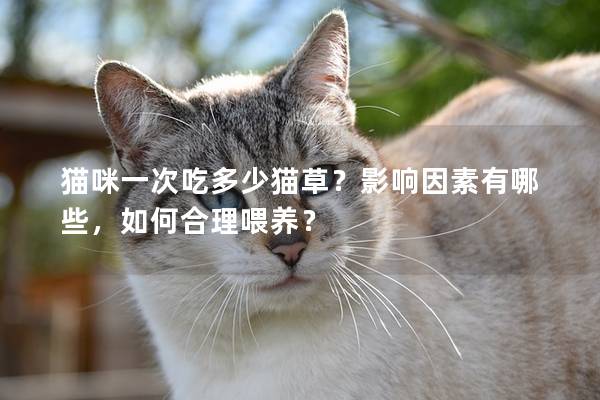 猫咪一次吃多少猫草？影响因素有哪些，如何合理喂养？