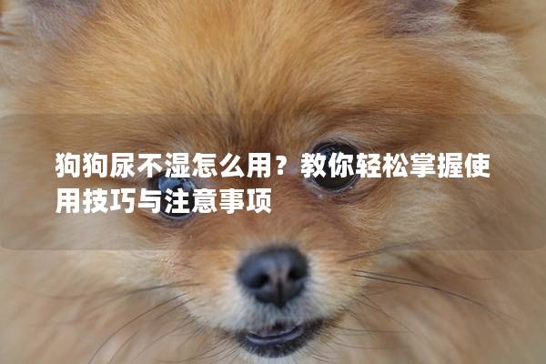 狗狗尿不湿怎么用？教你轻松掌握使用技巧与注意事项