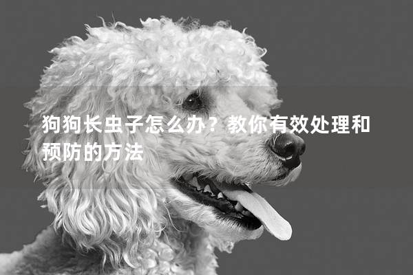 狗狗长虫子怎么办？教你有效处理和预防的方法