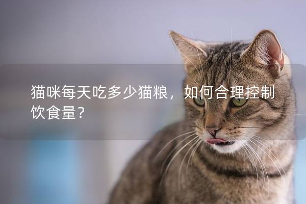 猫咪每天吃多少猫粮，如何合理控制饮食量？