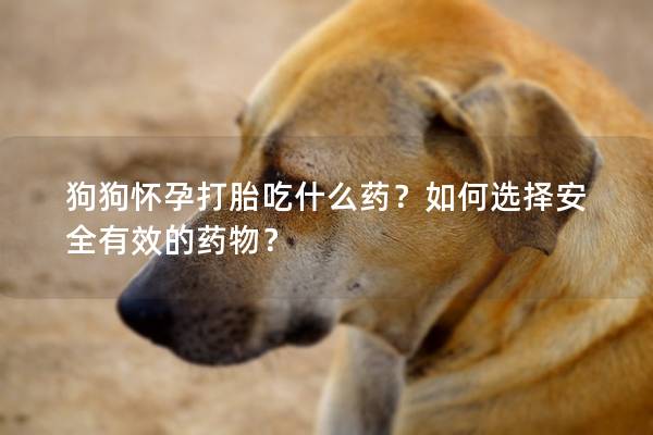 狗狗怀孕打胎吃什么药？如何选择安全有效的药物？