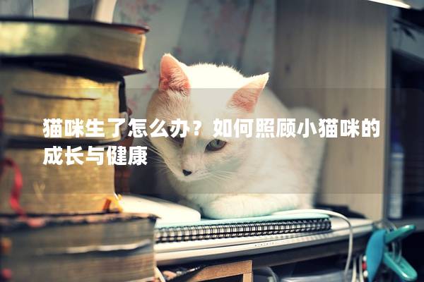 猫咪生了怎么办？如何照顾小猫咪的成长与健康