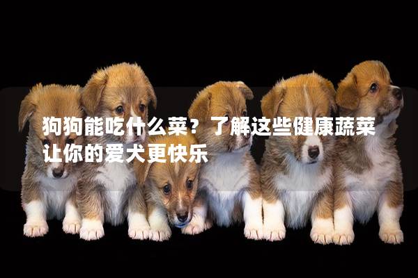 狗狗能吃什么菜？了解这些健康蔬菜让你的爱犬更快乐